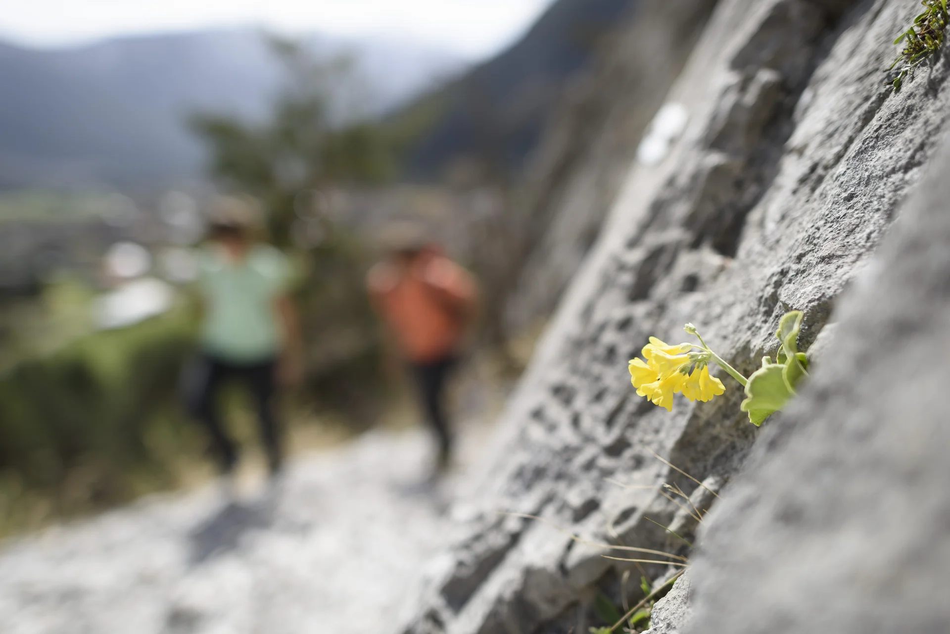 © DAV Bitte beachten: Wegen des BFSG benötigen alle Bilder einen aussagekräftigen Alt-Tag | © DAV