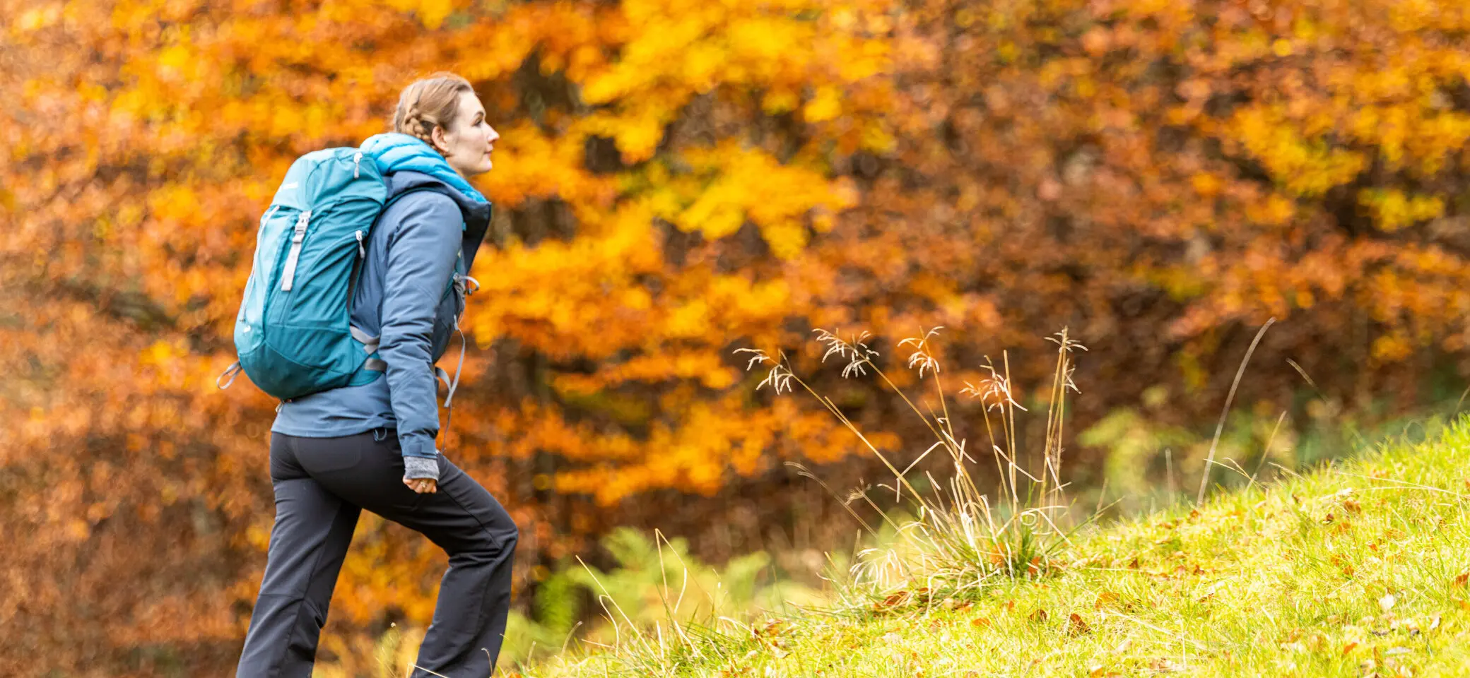 Wanderin im Herbst | © DAV / Franz Günther