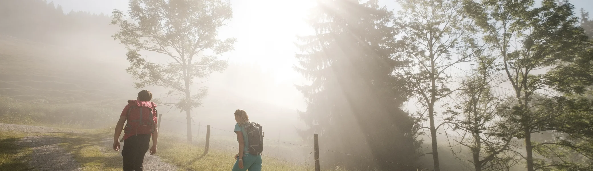 Bitte beachten: Wegen des BFSG benötigen alle Bilder einen aussagekräftigen Alt-Tag | © DAV