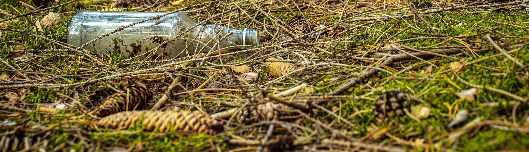 Eine leere Flasche im Wald | © Kamil Miłkowski/ pixabay