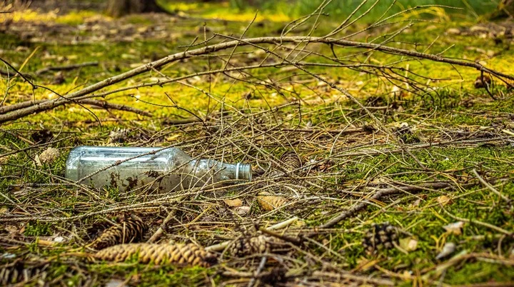 Eine leere Flasche im Wald | © Kamil Miłkowski/ pixabay Eine leere Flasche im Wald | © Kamil Miłkowski/ pixabay