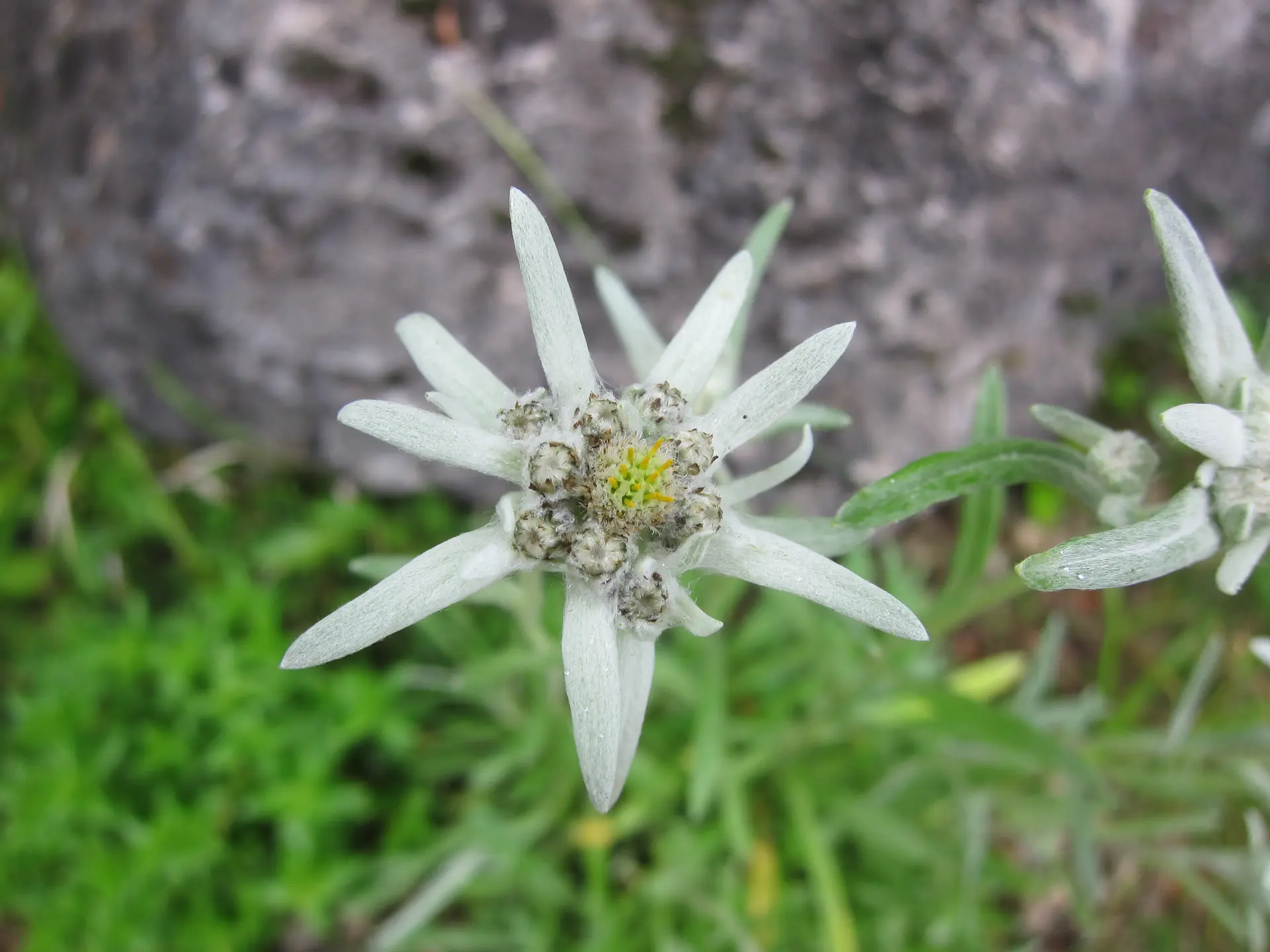 Bitte beachten: Wegen des BFSG benötigen alle Bilder einen aussagekräftigen Alt-Tag | © DAV