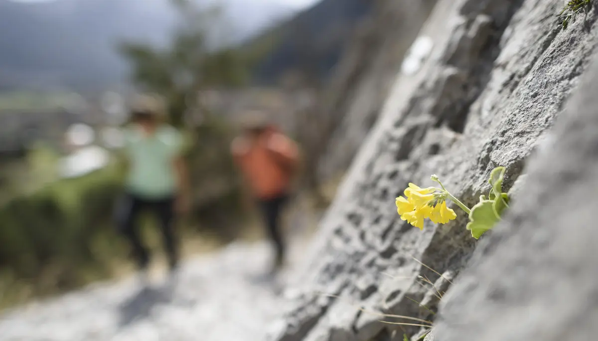 Bitte beachten: Wegen des BFSG benötigen alle Bilder einen aussagekräftigen Alt-Tag | © DAV
