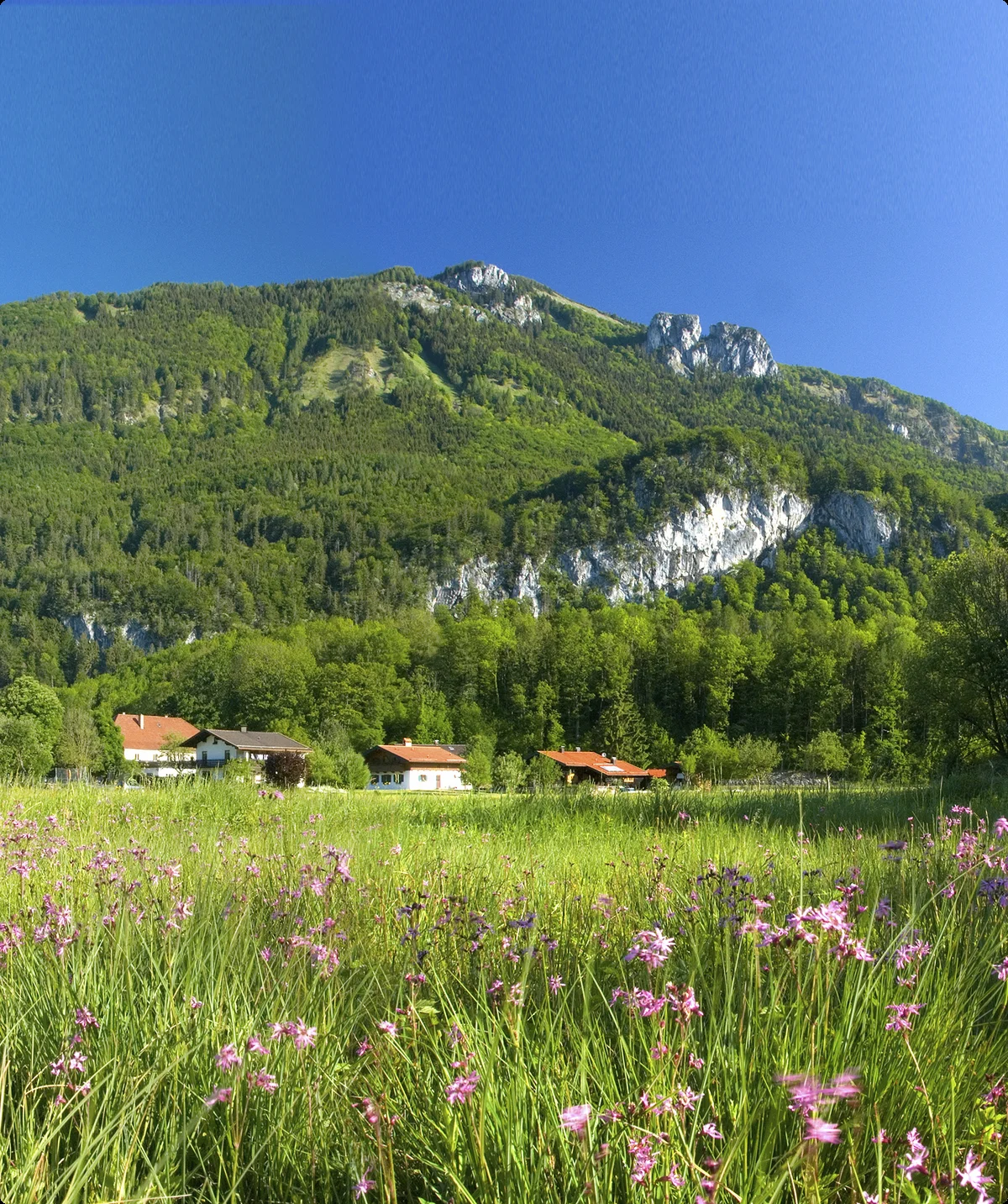 © DAV / Vodermeier Bitte beachten: Wegen des BFSG benötigen alle Bilder einen aussagekräftigen Alt-Tag | © DAV / Vodermeier