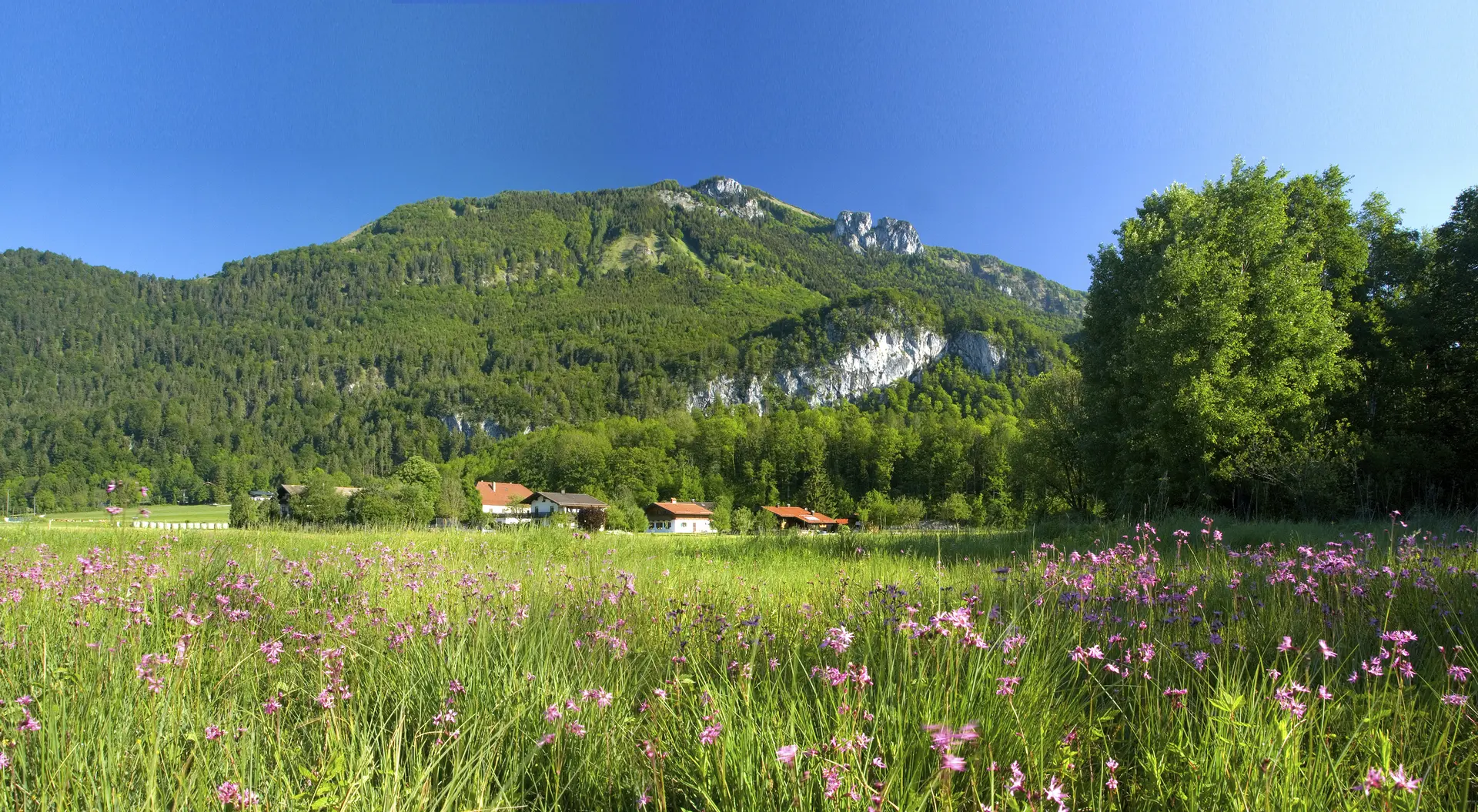 Bitte beachten: Wegen des BFSG benötigen alle Bilder einen aussagekräftigen Alt-Tag | © DAV / Vodermeier