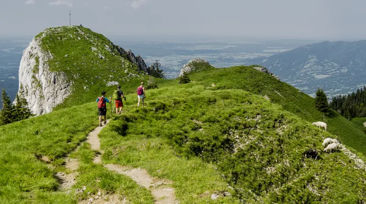 Bitte beachten: Wegen des BFSG benötigen alle Bilder einen aussagekräftigen Alt-Tag | © DAV