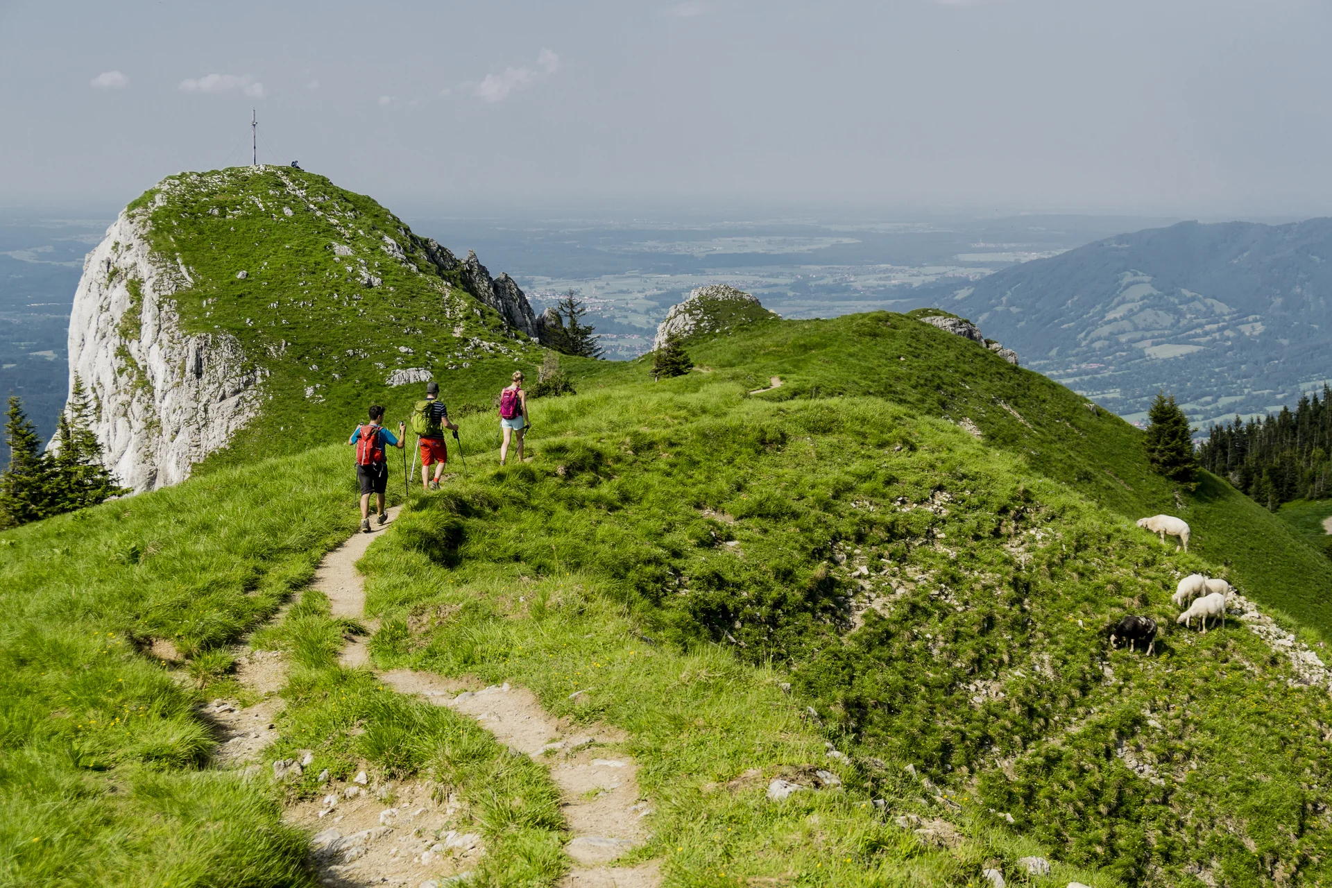 Bitte beachten: Wegen des BFSG benötigen alle Bilder einen aussagekräftigen Alt-Tag | © DAV