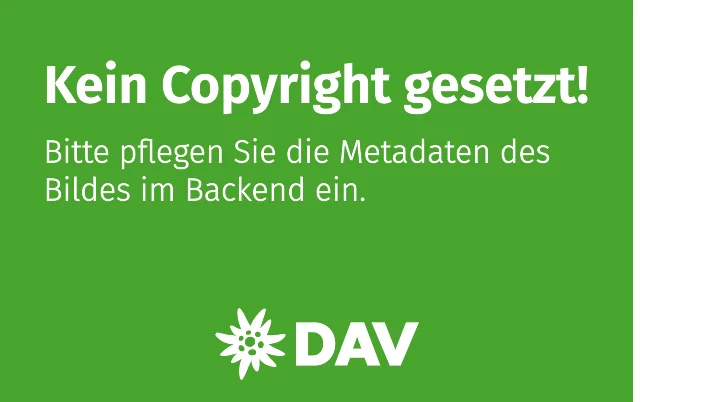 topografische Linien - grau